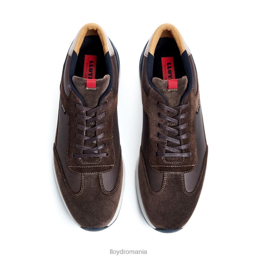 pantofi LLOYD vedea maro bărbați 68260323