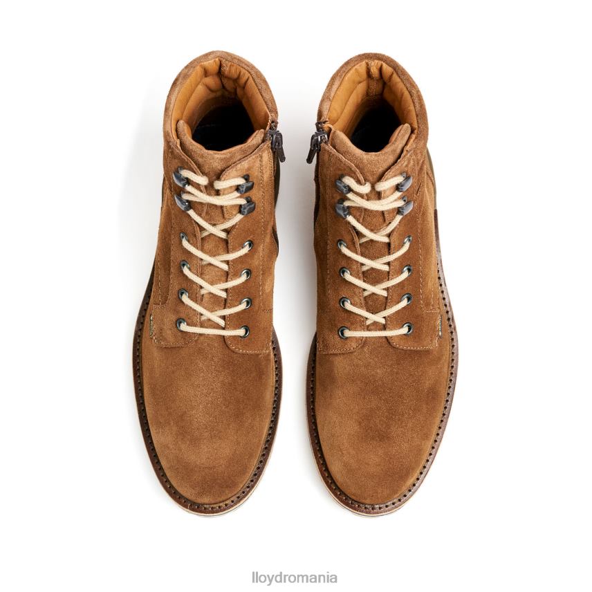 pantofi LLOYD veit maro bărbați 68260520