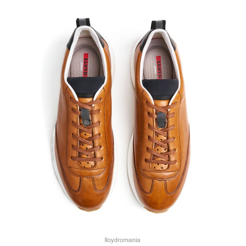 pantofi LLOYD velo 6 maro bărbați 68260435