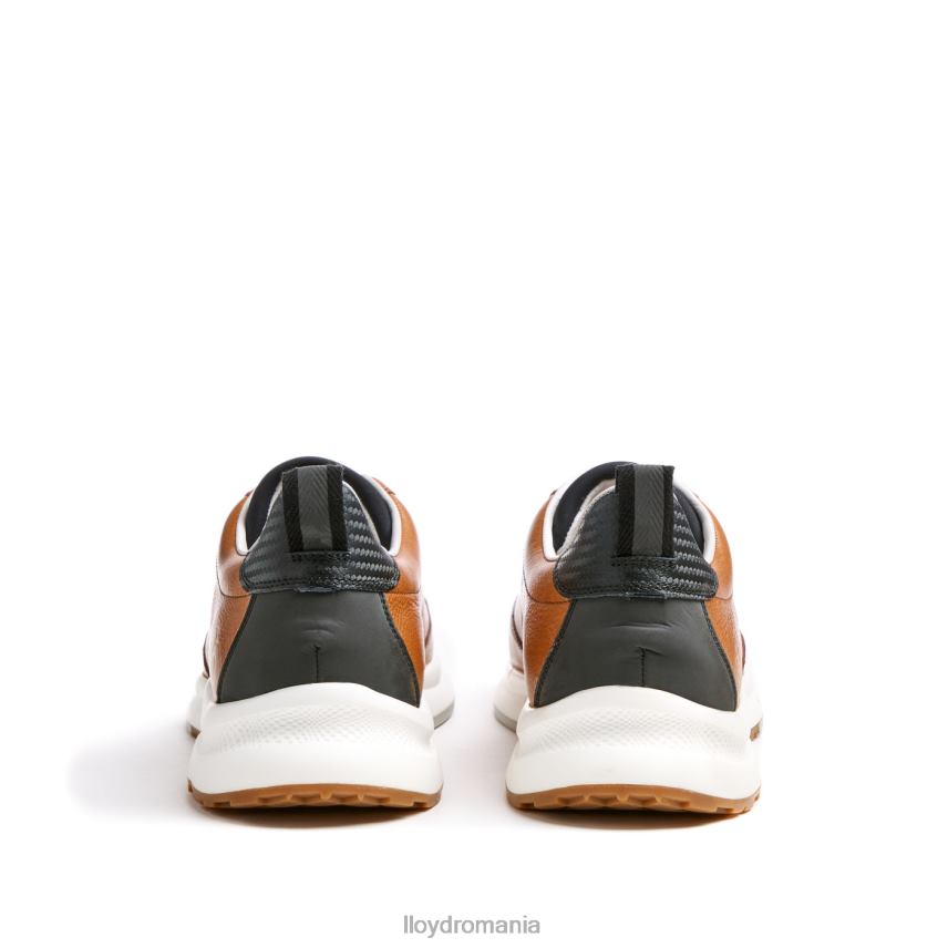 pantofi LLOYD velo 6 maro bărbați 68260435