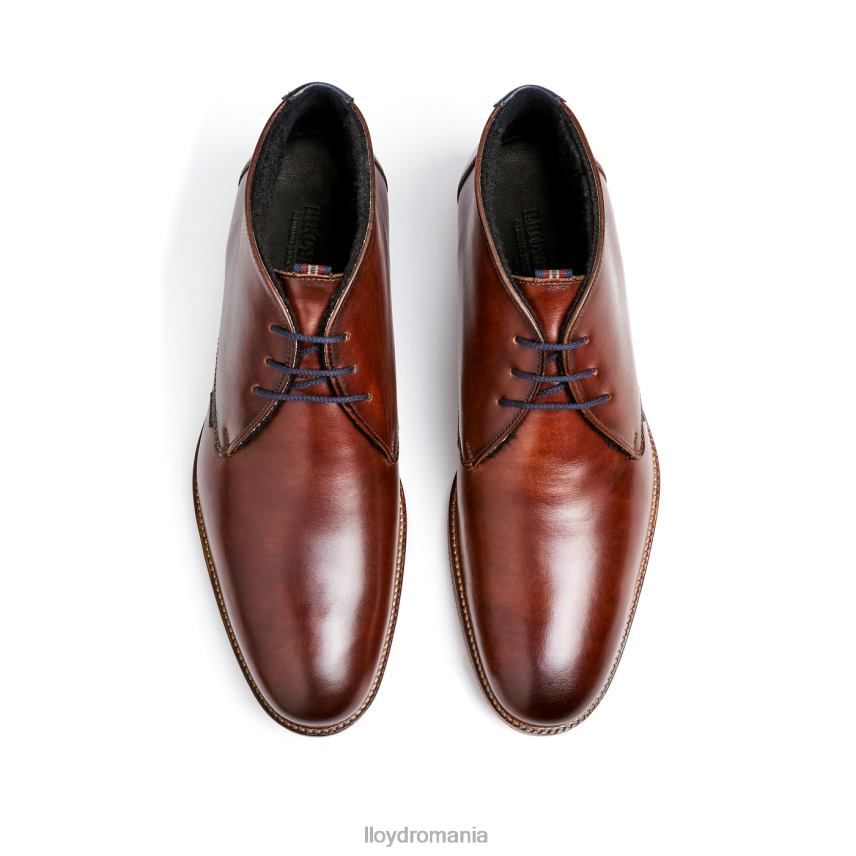 pantofi LLOYD verdon maro bărbați 68260138