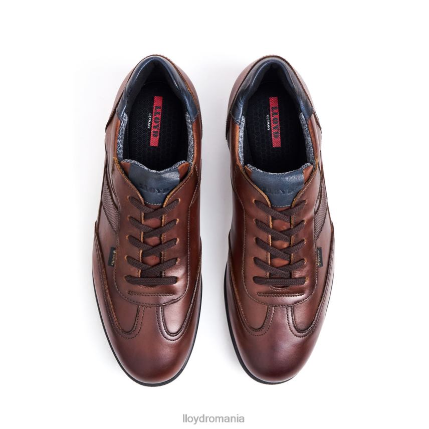 pantofi LLOYD vernon maro bărbați 68260136