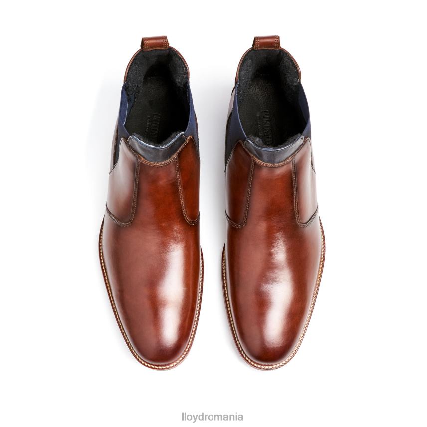 pantofi LLOYD vesuv maro bărbați 68260145