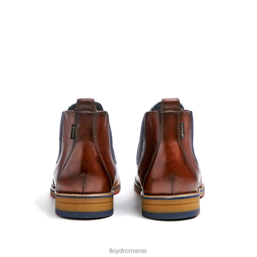 pantofi LLOYD vesuv maro bărbați 68260145
