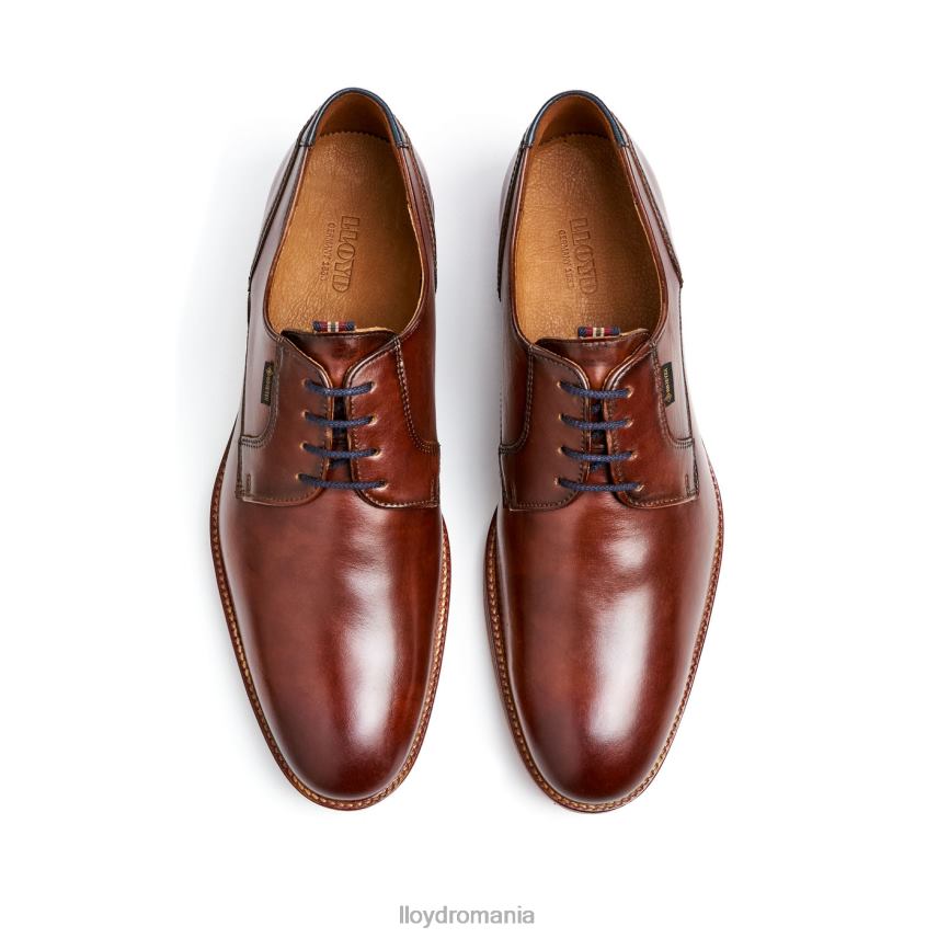 pantofi LLOYD vickers maro bărbați 68260122