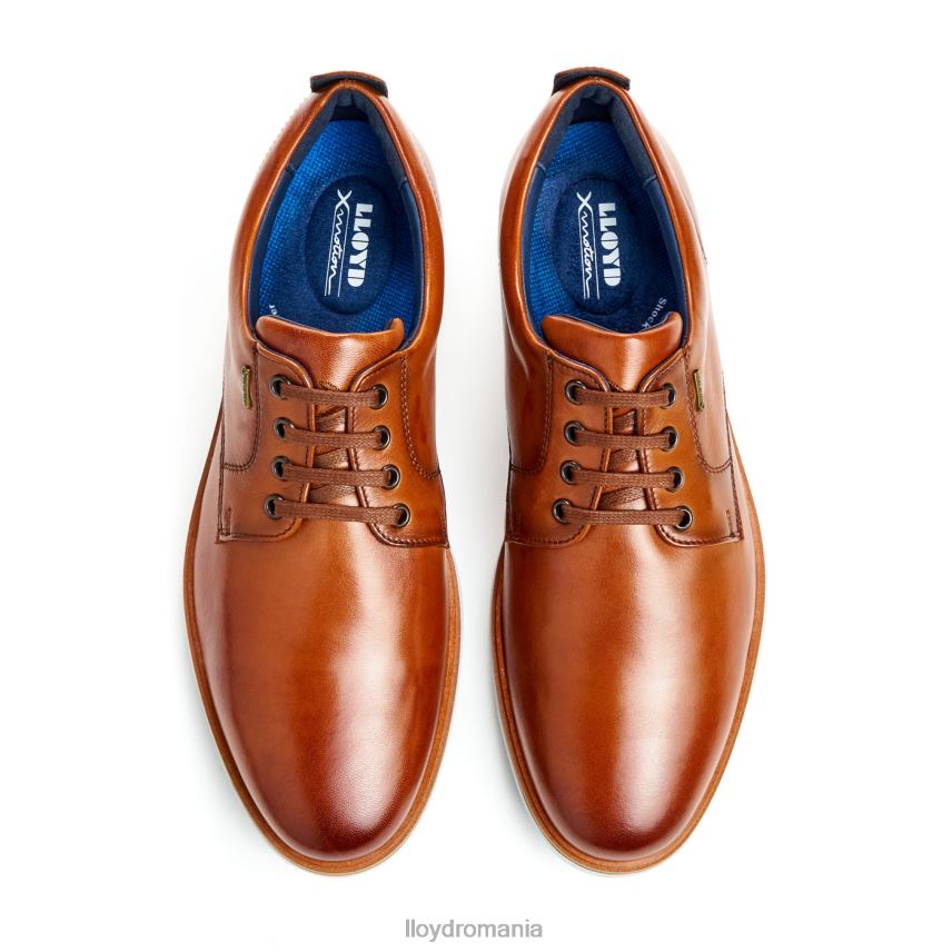 pantofi LLOYD vin maro bărbați 68260139