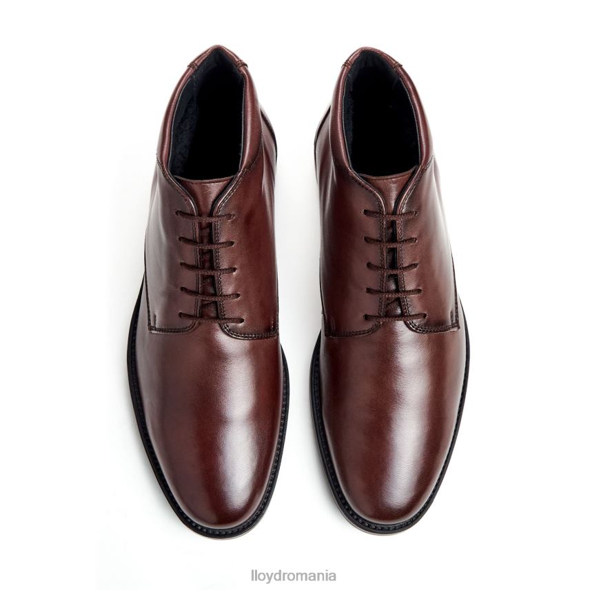 pantofi LLOYD viţă de vie maro bărbați 68260528