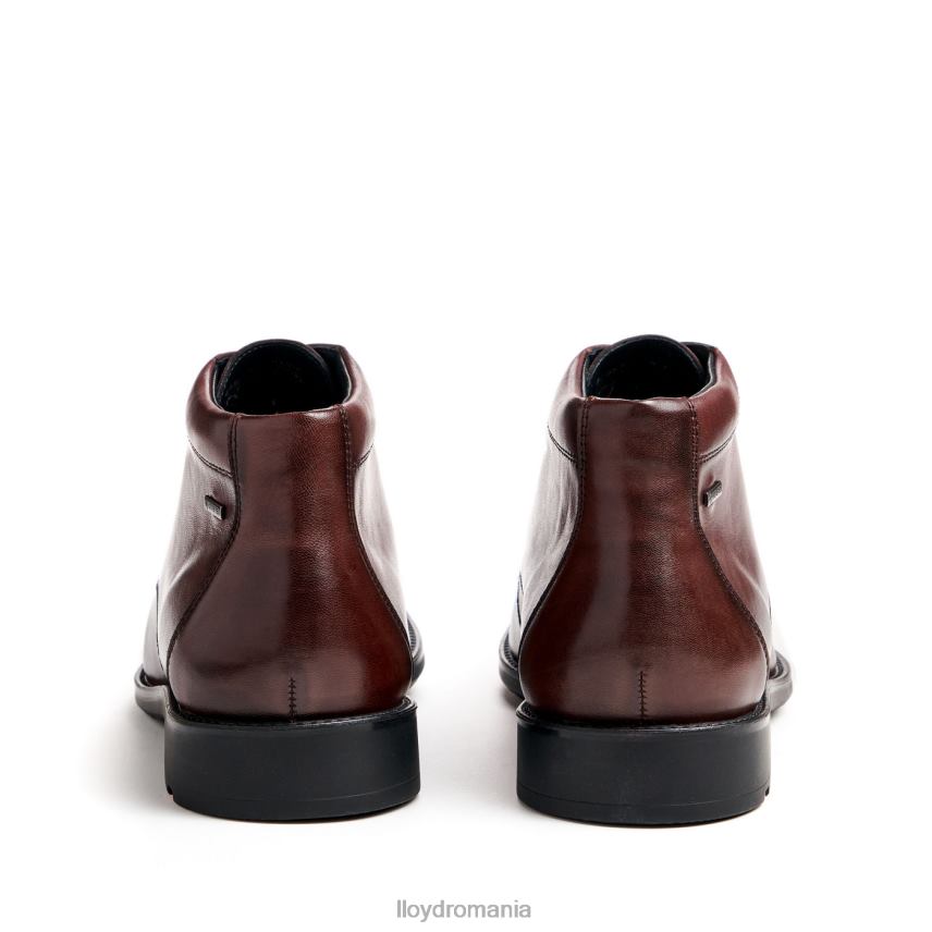 pantofi LLOYD viţă de vie maro bărbați 68260528