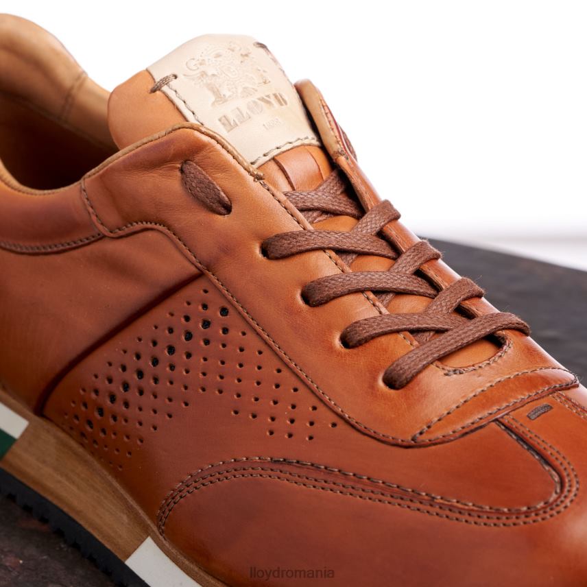 pantofi LLOYD walcott maro bărbați 68260180
