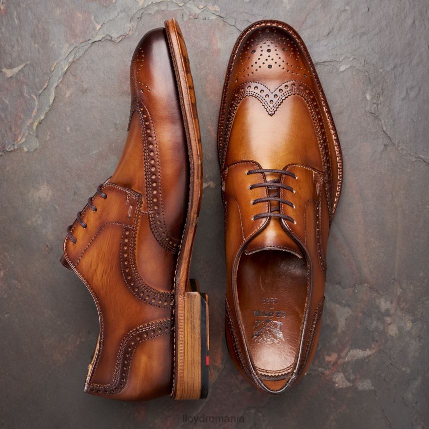 pantofi LLOYD warwick maro bărbați 6826074