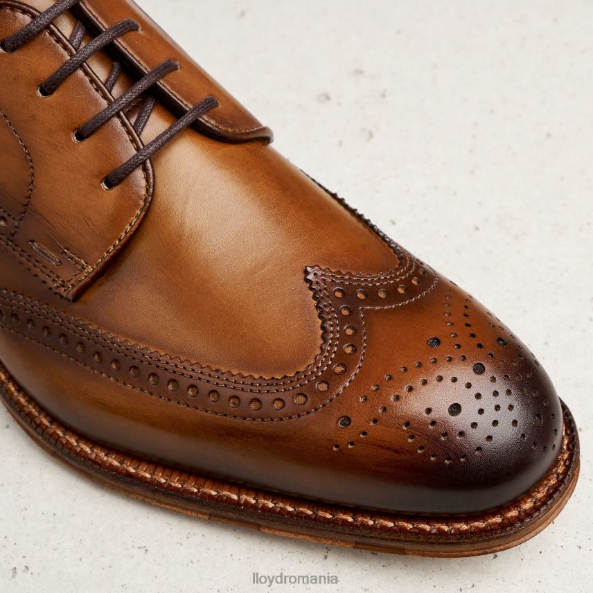 pantofi LLOYD warwick maro bărbați 6826074