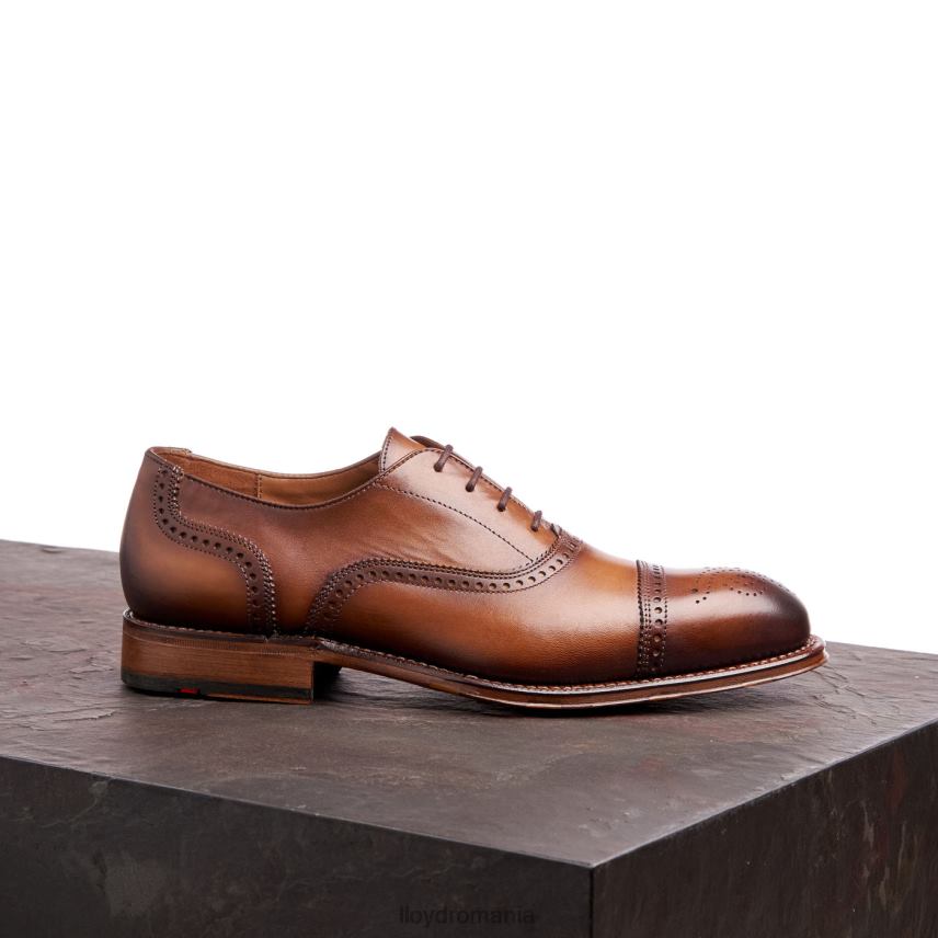 pantofi LLOYD waterloo maro bărbați 6826021