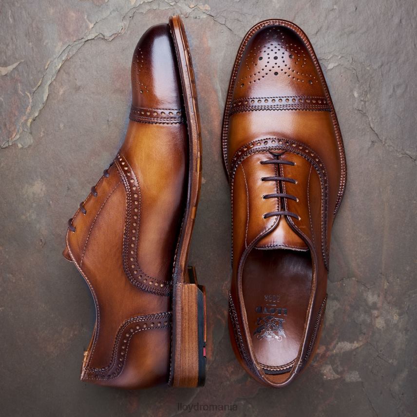 pantofi LLOYD waterloo maro bărbați 6826021