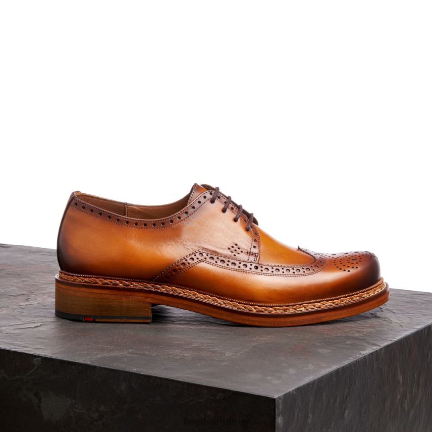 pantofi LLOYD wotan maro bărbați 68260163