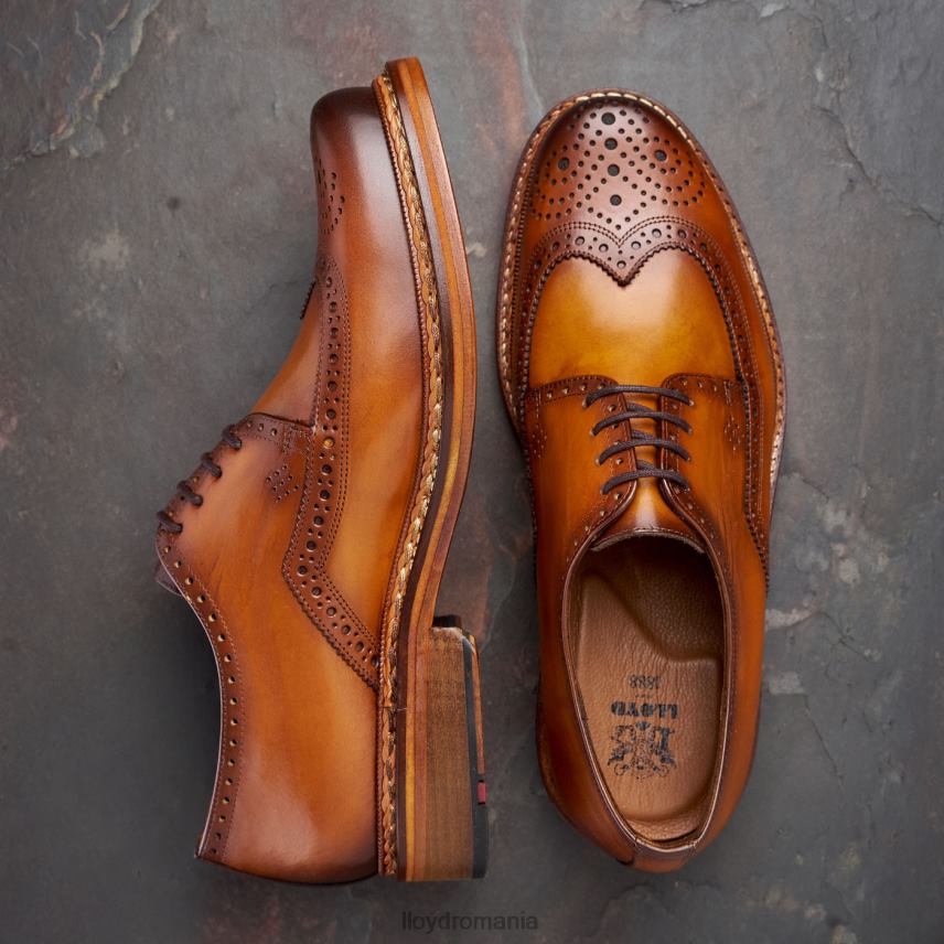 pantofi LLOYD wotan maro bărbați 68260163