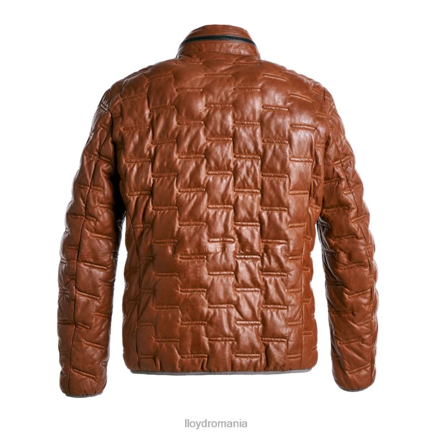 îmbrăcăminte LLOYD avery maro bărbați 68260647