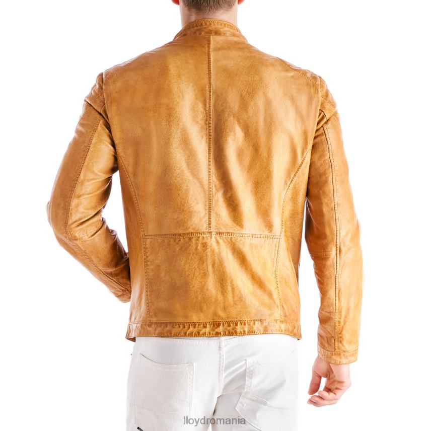 îmbrăcăminte LLOYD emiliano galben bărbați 68260629