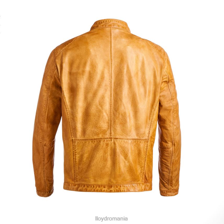 îmbrăcăminte LLOYD emiliano galben bărbați 68260629