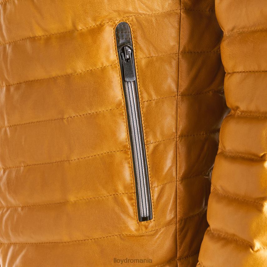 îmbrăcăminte LLOYD malio galben bărbați 68260635