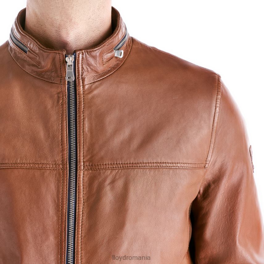 îmbrăcăminte LLOYD marlon maro bărbați 68260630