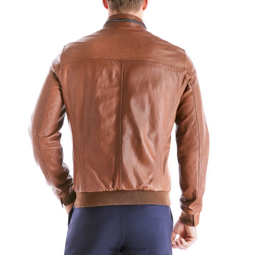 îmbrăcăminte LLOYD marlon maro bărbați 68260630