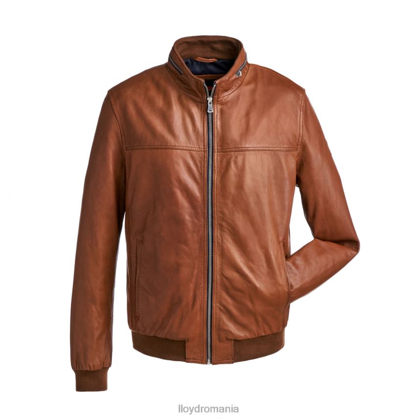 îmbrăcăminte LLOYD marlon maro bărbați 68260630